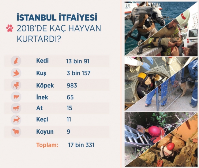 İstanbul İtfaiyesi 2018’de 17 bin 331 hayvanı kurtardı